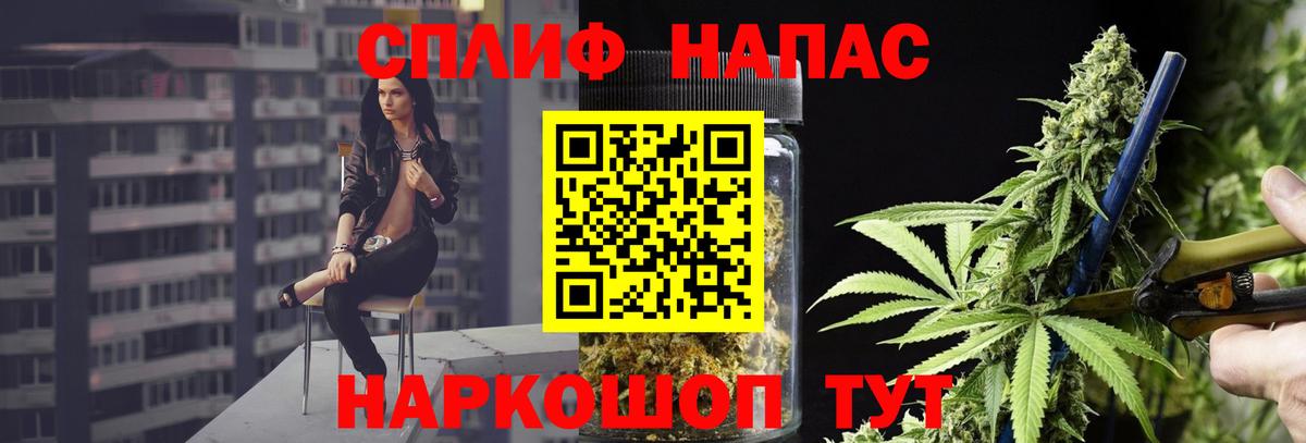 Владикавказ  Шишки марихуана семена  Вход с VPN  Конопля конопля  Марихуана планчик 